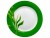 Тарелка SNT Бамбук зеленый ободок 3081, фото