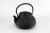 Заварочный чайник GIPFEL FENGSHUI 1186, фото
